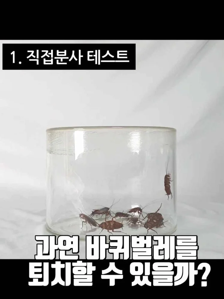 페스트세븐가드250ml 뿌리는 바퀴벌레약 빈대 벼룩 집벌레 벌레 살충제 트랩 약 박멸 약국 퇴치 제거 퇴치약 퇴치제 퇴치법 하수구 흰 상세 이미지 1