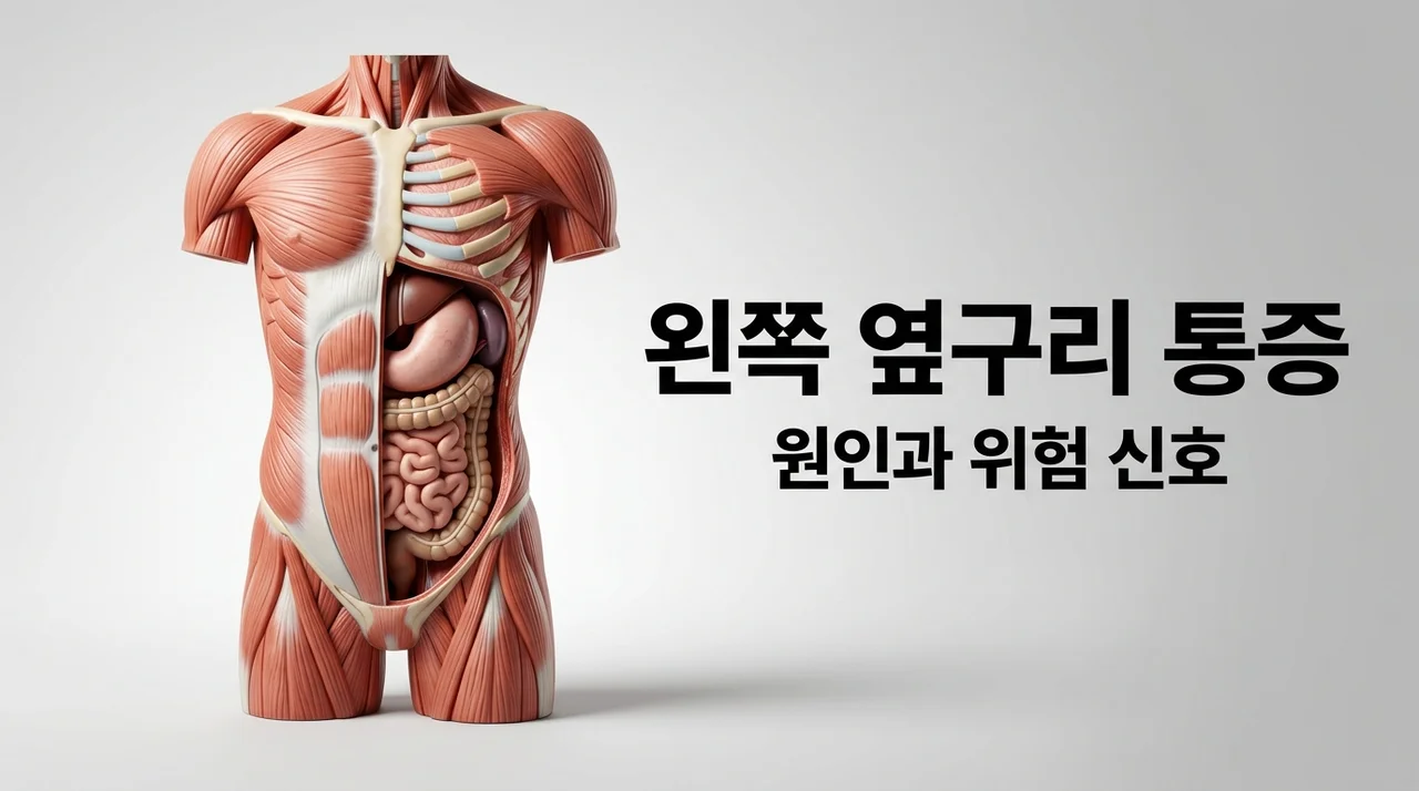왼쪽 옆구리 통증, 원인 5가지와 꼭 확인해야 할 위험 신호