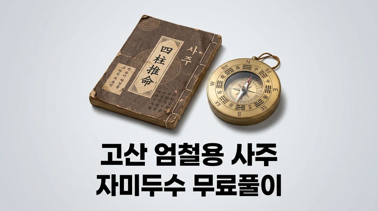 고산 엄철용 자미두수 무료 사주 풀이 방법 및 솔직 후기 정리