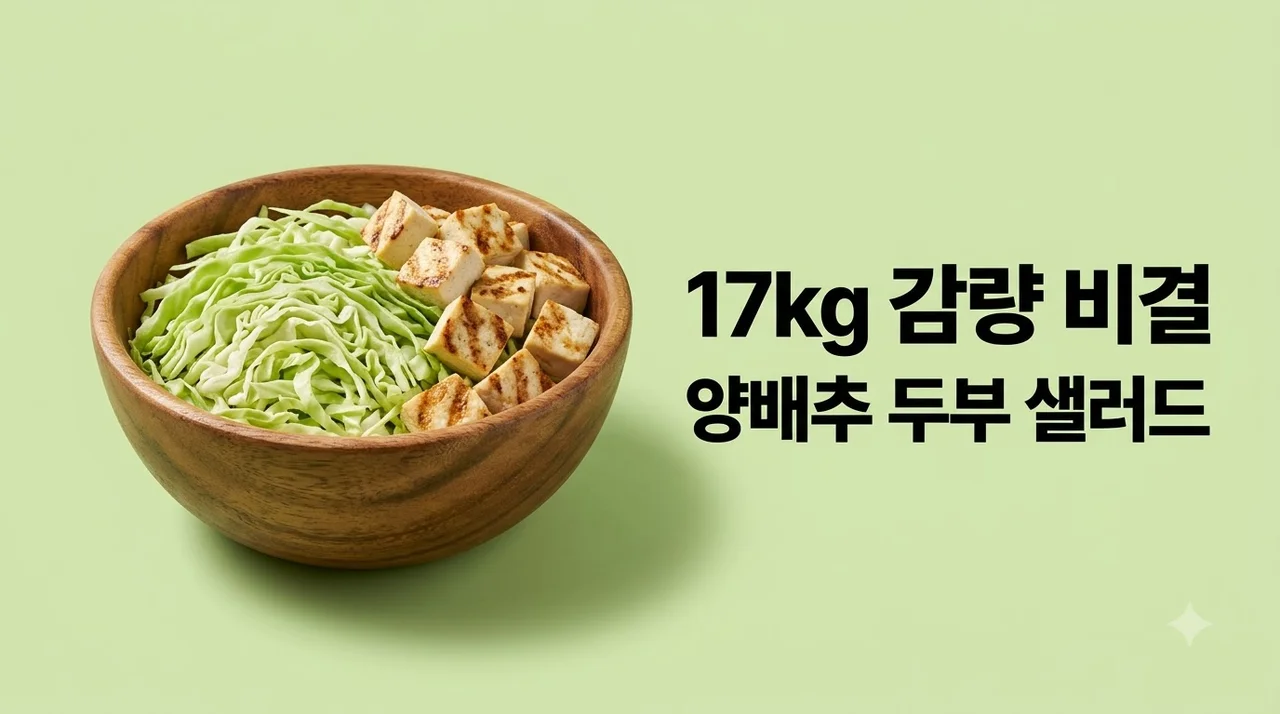 송혜교 17kg 감량 양배추 두부 샐러드 레시피와 다이어트 식단 노하우