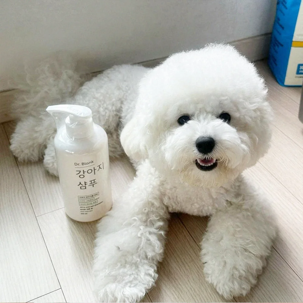 닥터블랭크 저자극 올인원 강아지 샴푸 새끼강아지 보습 목욕 베이비파우더, 500ml, 1개 상세 이미지 1