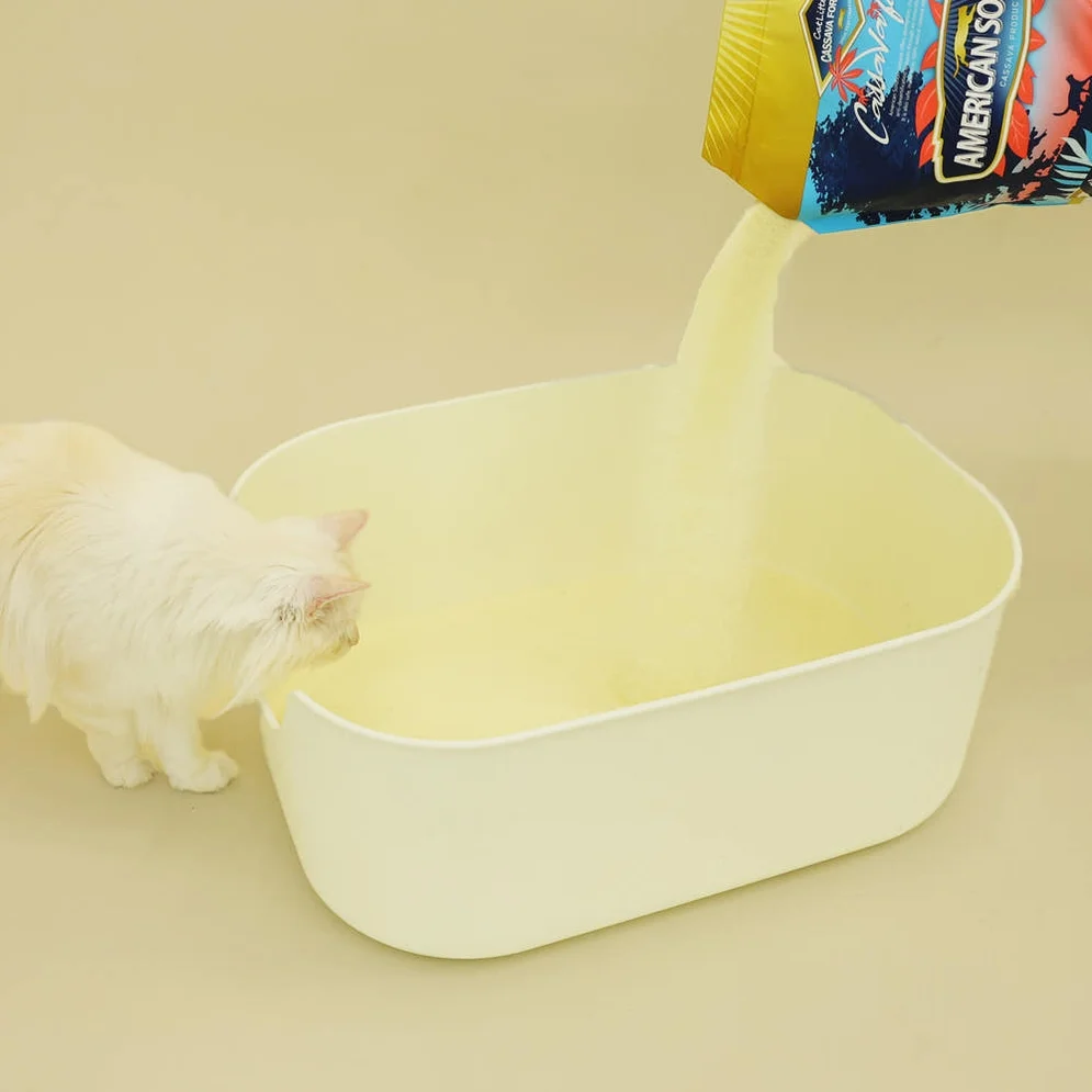 [고양이의 날] 아메리칸솔루션 최고급 브라질산 카사바 먼지없는 고양이모래 실크니스, 6kg, 2개 상세 이미지 5